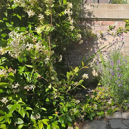 Au Coeur De Tours, Familial Avec Jardin Au Calme, Parking Сasa de vacaciones Tours