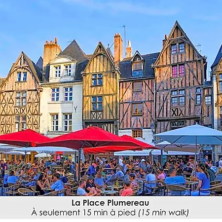 Au Coeur De Tours, Familial Avec Jardin Au Calme, Parking * トゥール