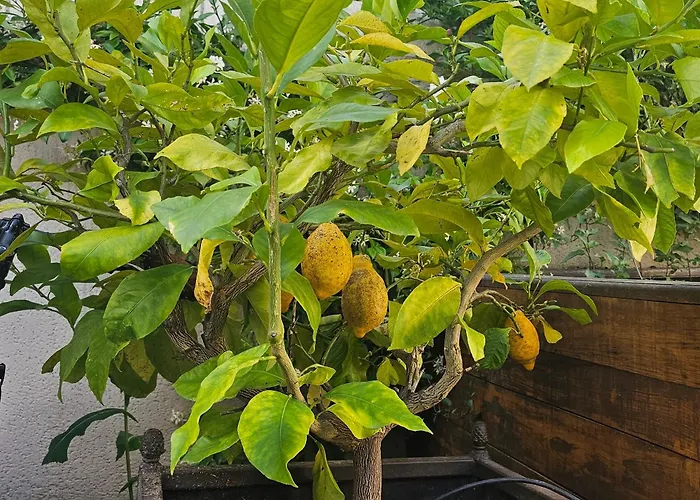 Au Coeur De Tours, Familial Avec Jardin Au Calme, Parking
