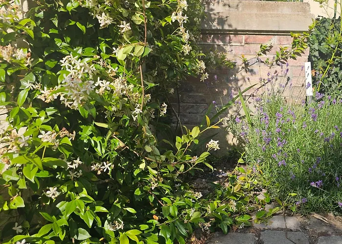 Au Coeur De Tours, Familial Avec Jardin Au Calme, Parking 別荘 トゥール